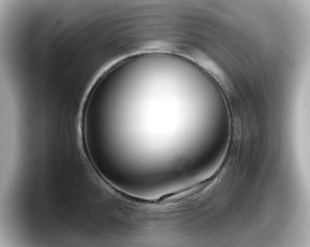 X0000098121288200804111108