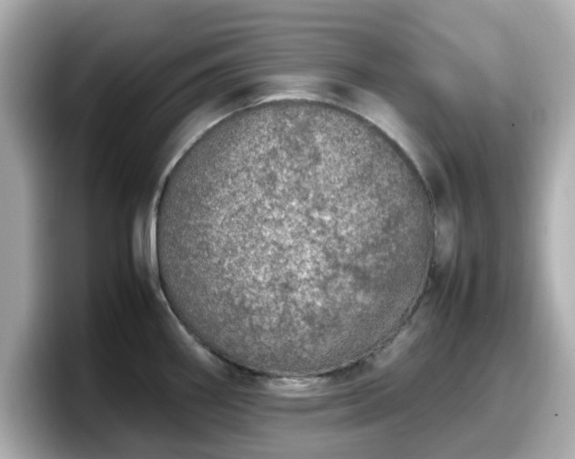 X0000098121290200804111108