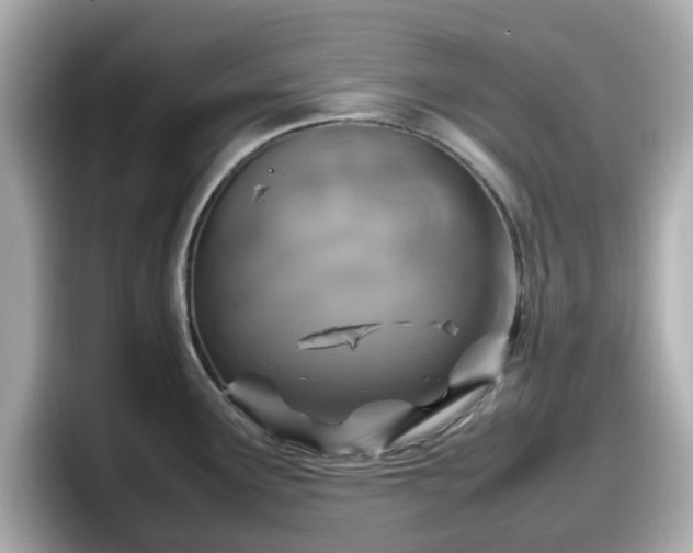 X0000098121291200804111108