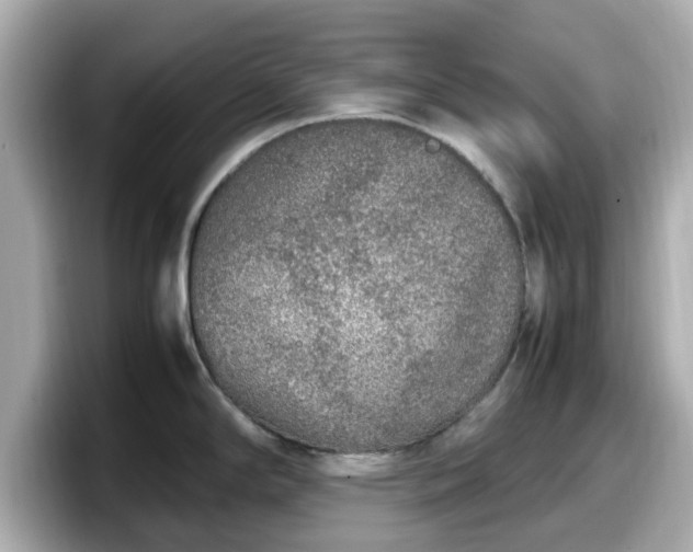 X0000098121294200804111107