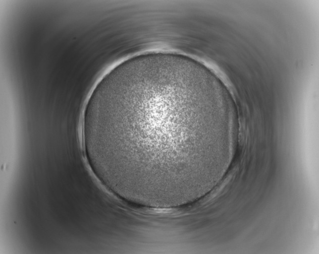 X0000098121295200804111107