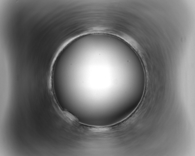 X0000098121296200804111107