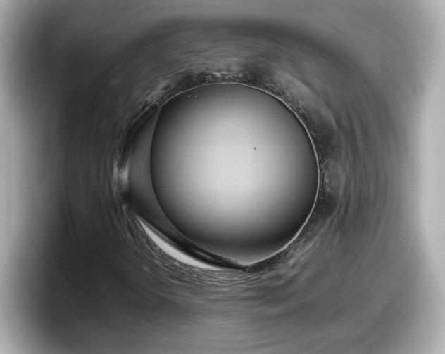 X0000098121298200804111107