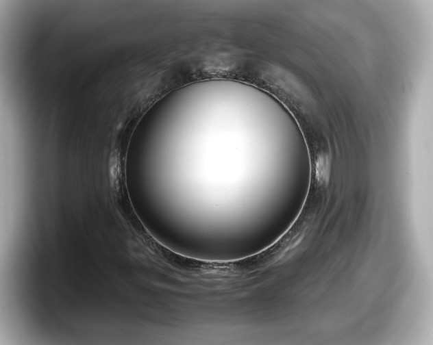 X0000098121299200804111107
