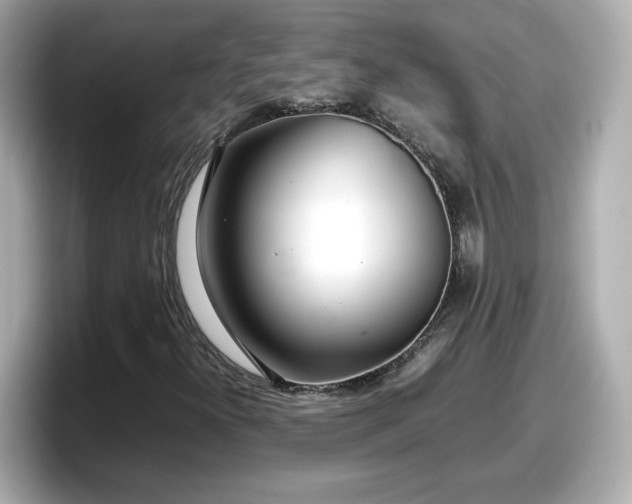 X0000098121300200804111107