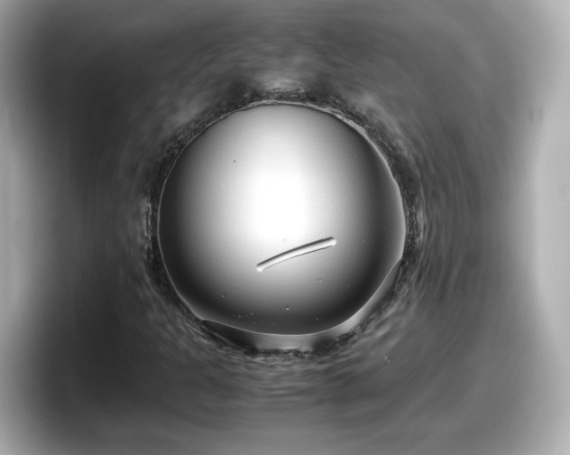X0000098121301200804111107