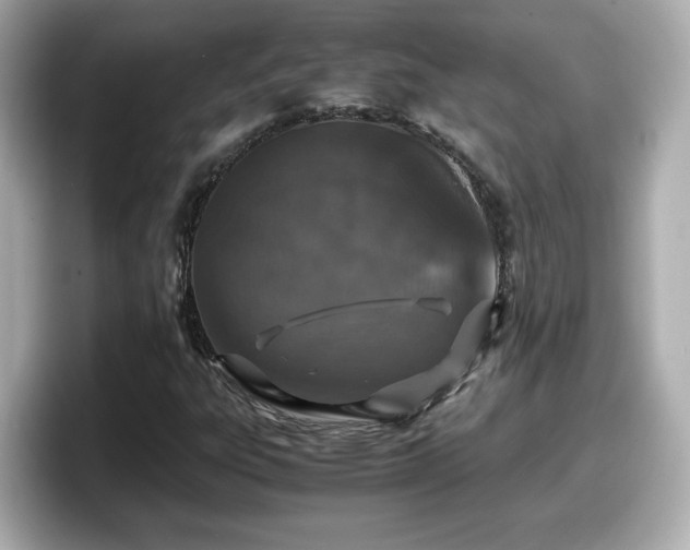 X0000098121303200804111107