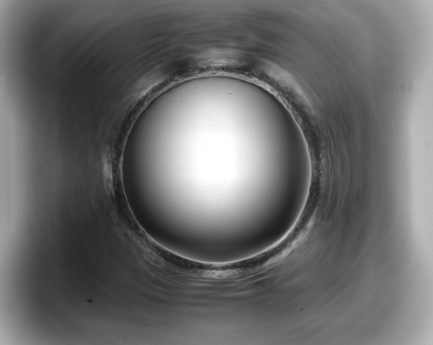 X0000098121305200804111107