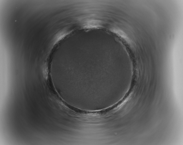 X0000098121306200804111107