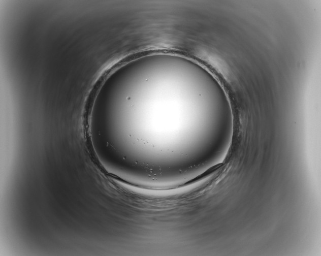 X0000098121308200804111107