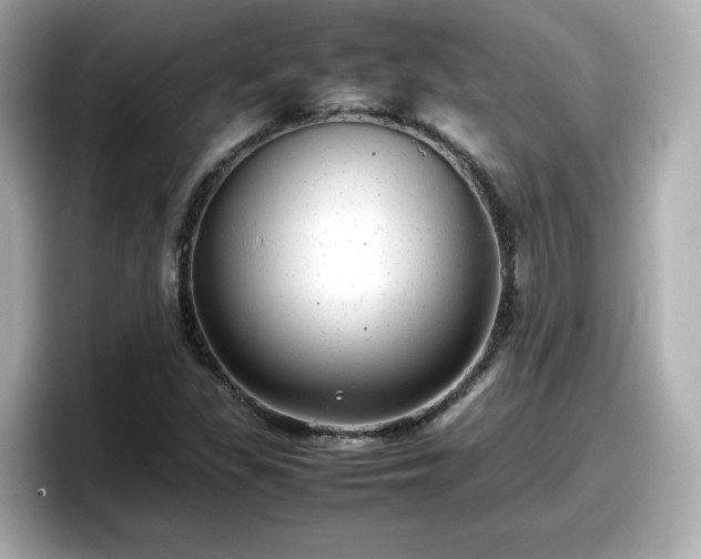 X0000098121309200804111107