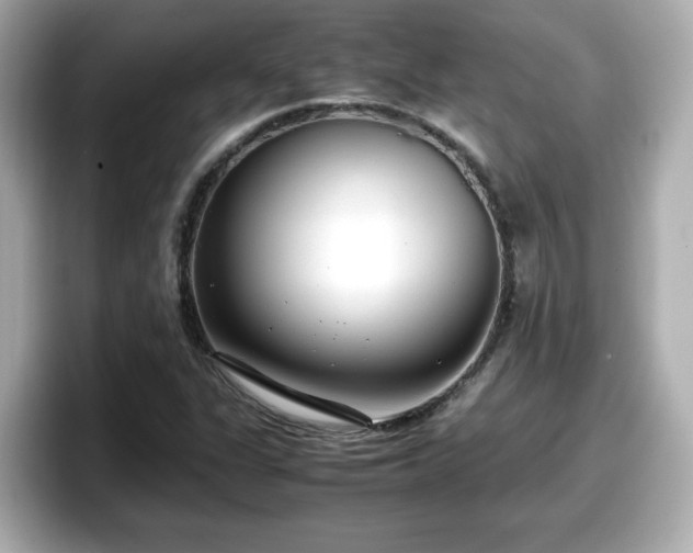 X0000098121311200804111107