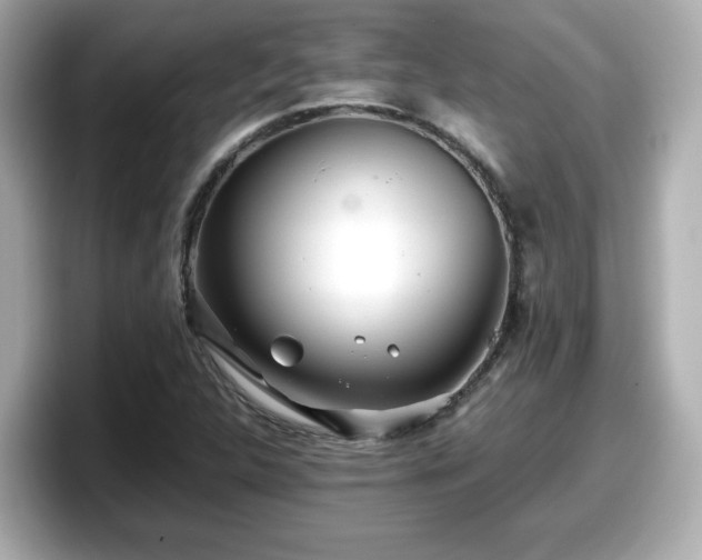 X0000098121312200804111107