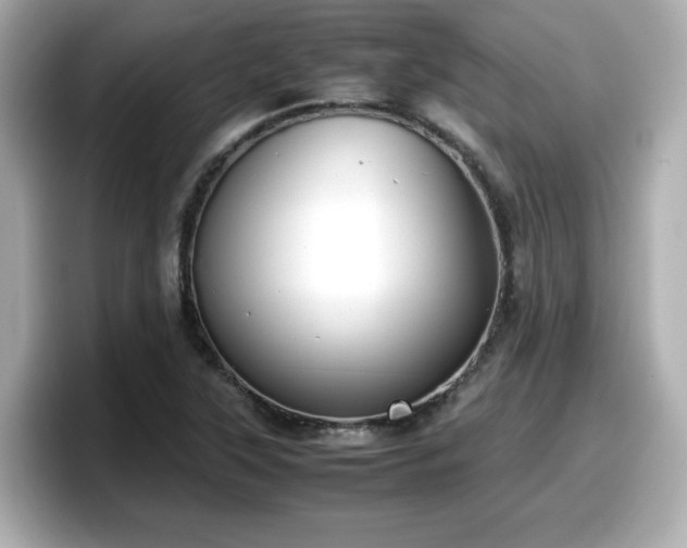 X0000098121315200804111107