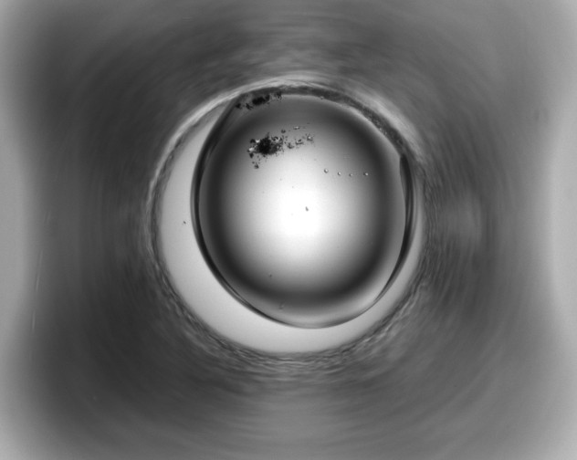 X0000098121316200804111107