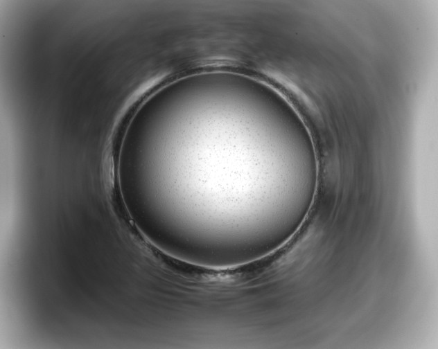 X0000098121317200804111107
