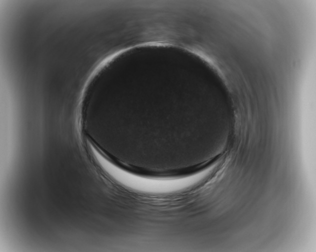 X0000098121319200804111107