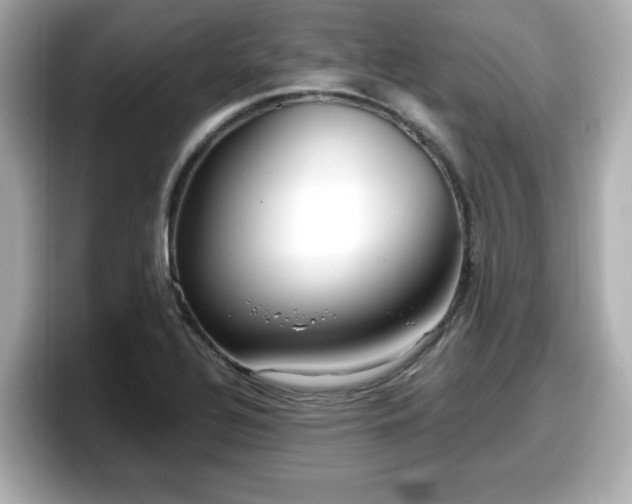 X0000098121320200804111107