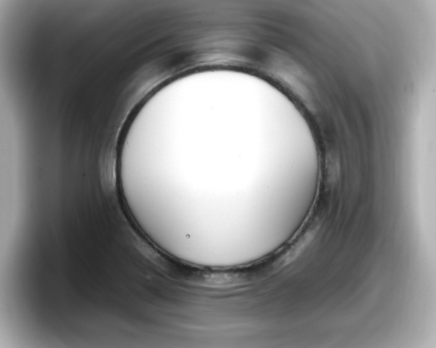 X0000098121322200804111107