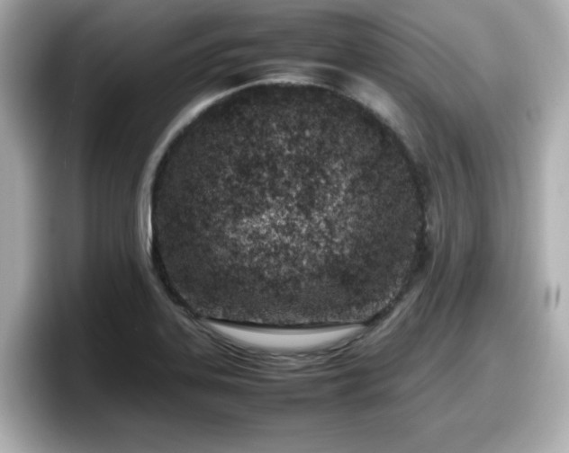 X0000098121323200804111107