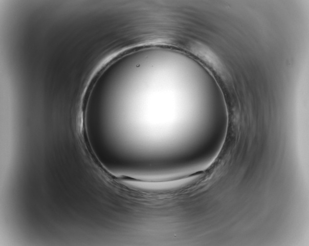 X0000098121324200804111107