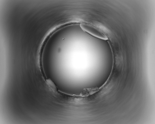 X0000098121326200804111107