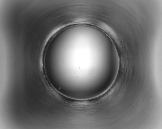 X0000098121328200804111107