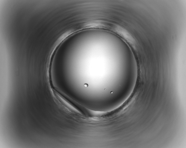 X0000098121330200804111107