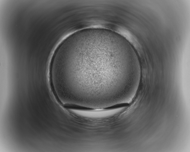 X0000098121331200804111107