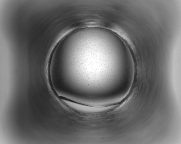 X0000098121333200804111107