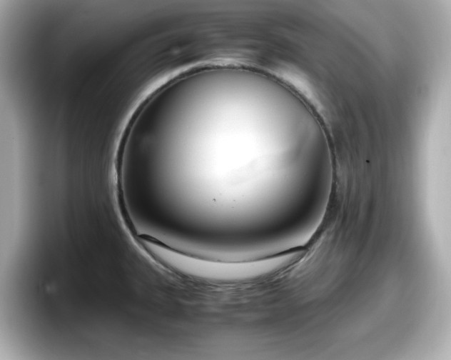 X0000098121335200804111107