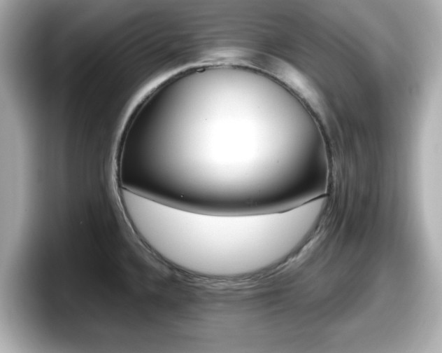 X0000098121336200804111107