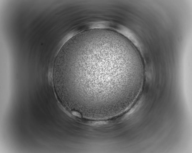 X0000098121337200804111107