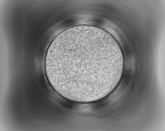 X0000098121338200804111107