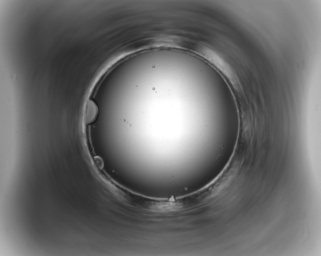 X0000098121339200804111107