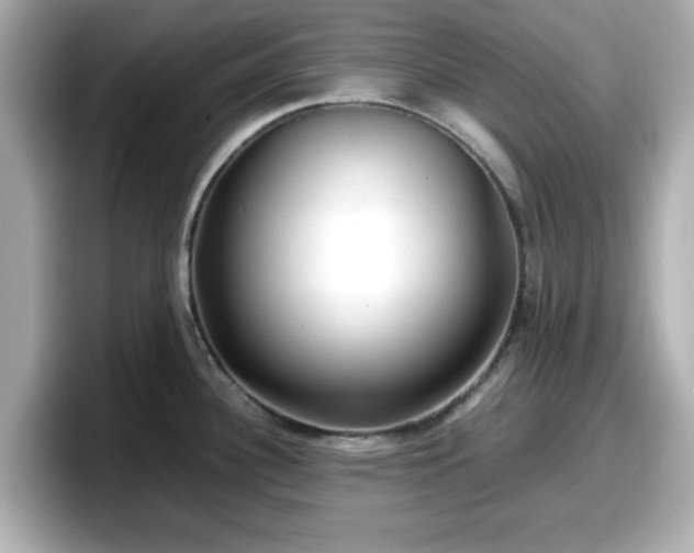 X0000098121340200804111107