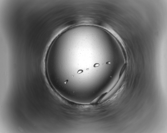 X0000098121341200804111107