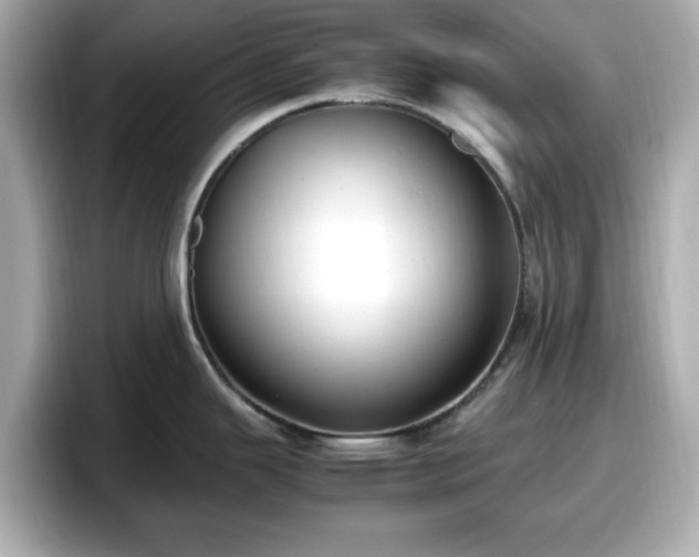 X0000098121343200804111107