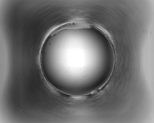 X0000098121344200804111107