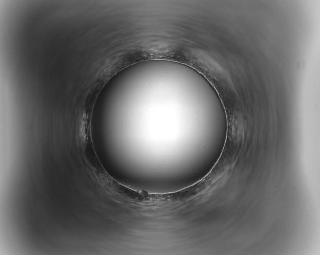 X0000098121346200804111107