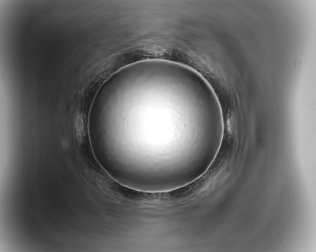 X0000098121347200804111107
