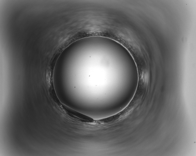 X0000098121348200804111107