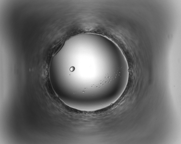 X0000098121349200804111107