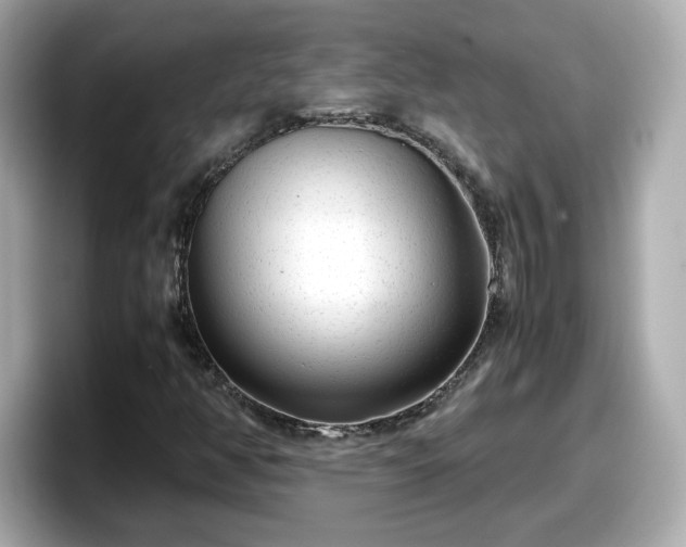 X0000098121350200804111107