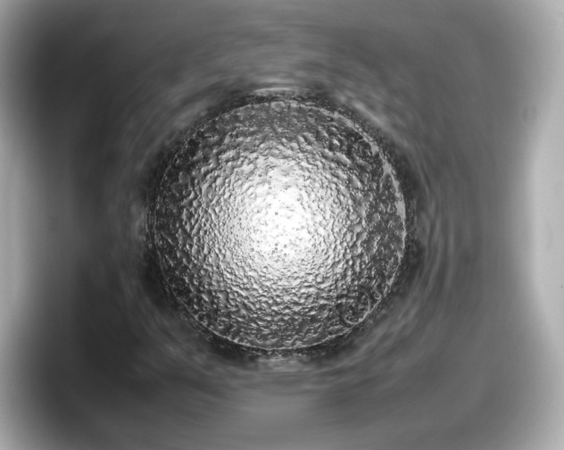 X0000098121351200804111107