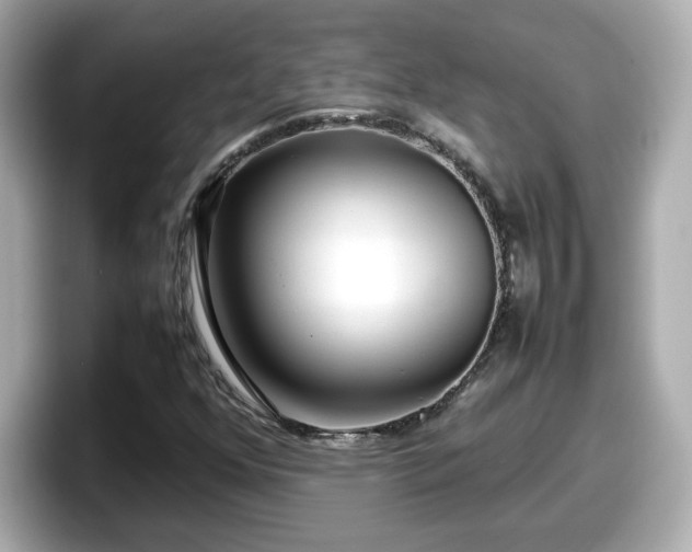 X0000098121352200804111107