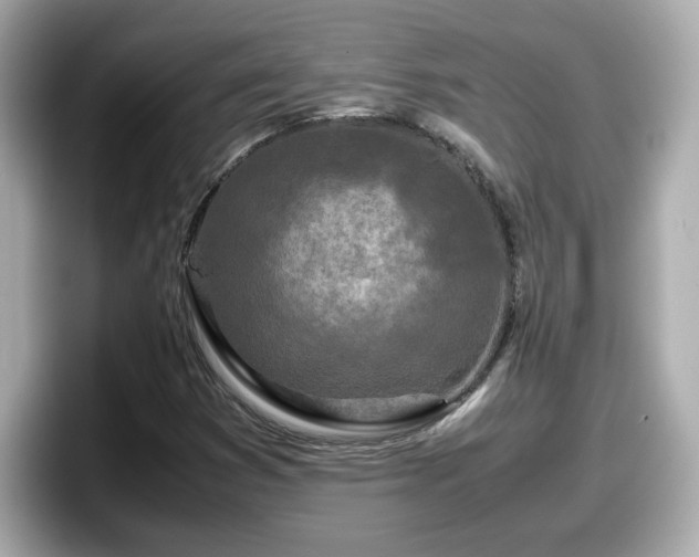 X0000098121353200804111107