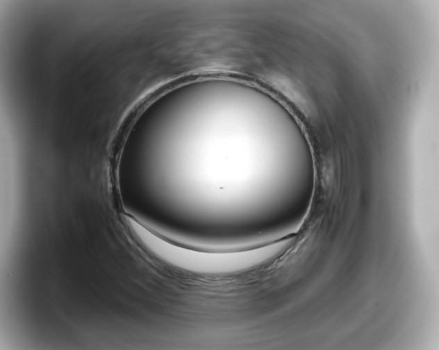 X0000098121356200804111107