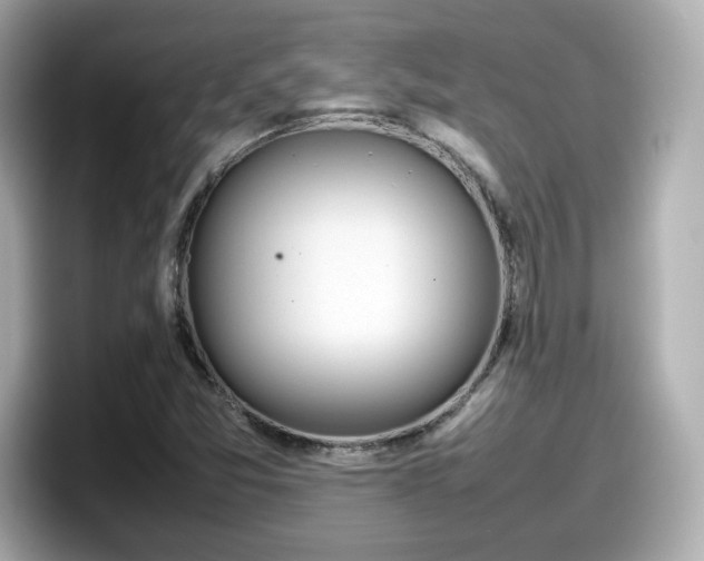 X0000098121357200804111107