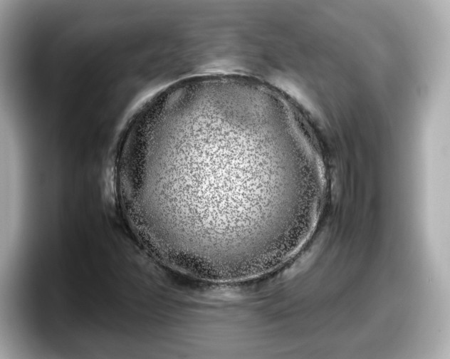 X0000098121358200804111107